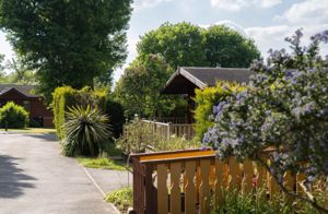 Photo 16- click for photo gallery